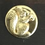 Oud knoopje met eekhoorn, Ophalen, Gebruikt, Dier of Natuur, Button