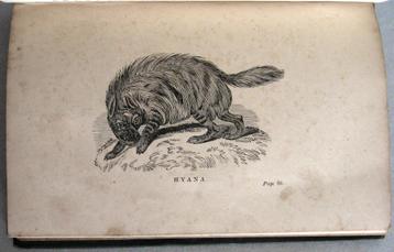 Adventures in the Far Interior of South Africa 1866 Leyland beschikbaar voor biedingen