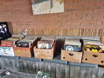 Grote partij Lp's ( 10 bananen dozen vol ) beschikbaar voor biedingen