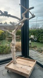 Java boom, Ophalen, Gebruikt