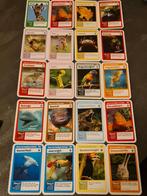 AH Super Dieren Kaarten 20 Stuks, Verzamelen, Albert Heijn, Ophalen of Verzenden