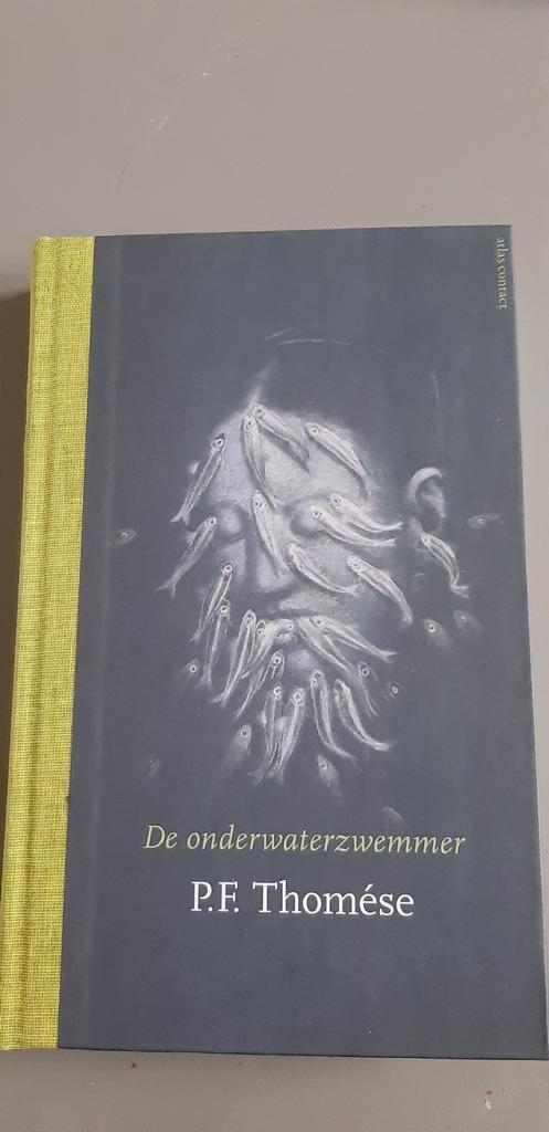 P.F. Thomése - De onderwaterzwemmer, Boeken, Literatuur, Zo goed als nieuw, Ophalen of Verzenden