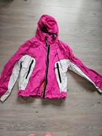 Ski jas dames Falcon, Falcon, Maat 46/48 (XL) of groter, Ophalen of Verzenden, Gedragen