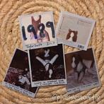 1989 Taylor Swift Stickers, o.a. polaroids, Verzamelen, Muziek, Artiesten en Beroemdheden, Ophalen of Verzenden, Nieuw, Foto of Kaart
