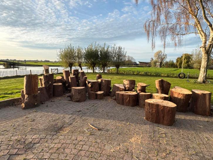 Boomstammen Conifeer - Diverse Maten, Tuin en Terras, Palen, Balken en Planken, Gebruikt, Overige typen, Minder dan 180 cm, Ophalen