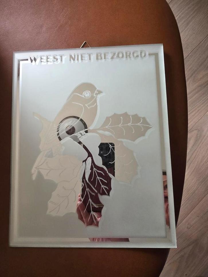 Glazen Decoratie Vogel - Weest Niet Bezorgd, Huis en Inrichting, Woonaccessoires | Spiegels, Gebruikt, 50 tot 75 cm, Vierkant