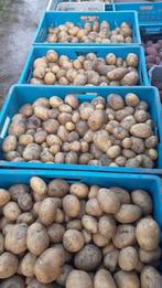 Aardappelen frieslanders biologisch, Diversen, Ophalen