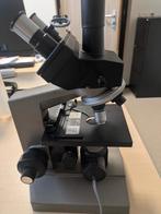 OLYMPUS  CH biologische microscoop, Ophalen, Gebruikt, Biologische microscoop