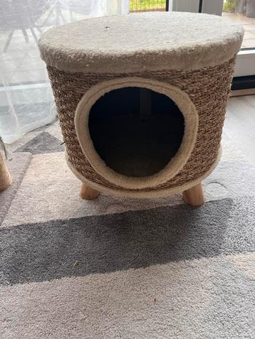 Kitten’s bed beschikbaar voor biedingen