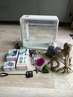 Superfish Home 40 aquarium + accessoires – 40 liter, Dieren en Toebehoren, Vissen | Aquaria en Toebehoren, Ophalen, Gebruikt, Leeg aquarium