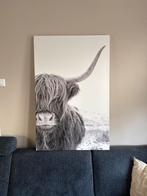 Canvas Schilderij - Schotse Hooglander, Ophalen of Verzenden, Zo goed als nieuw, Schilderij, 50 tot 75 cm