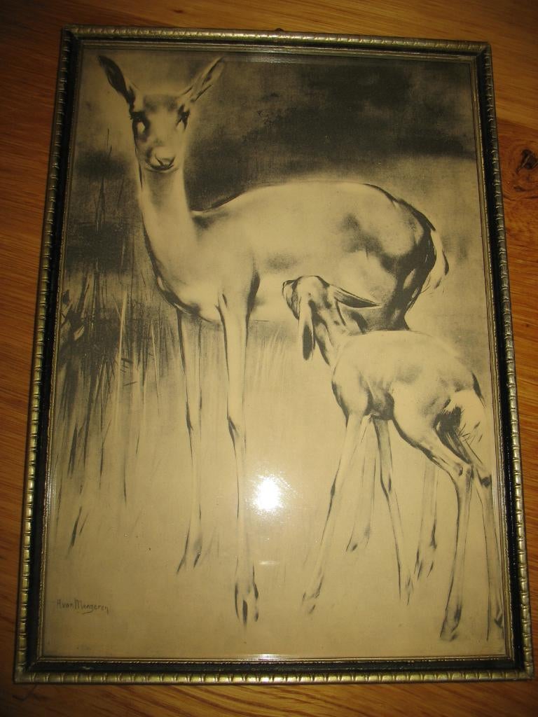 Schilderij Tekening Hert H. van Meegeren * 1951 Vintage, Ophalen