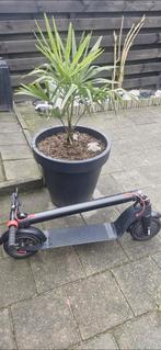 Elektrische step, Ophalen, Gebruikt, Elektrische step (E-scooter)