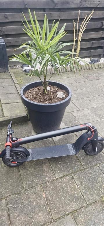Elektrische step  beschikbaar voor biedingen
