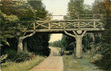 (381-039-029) Brug achter 't Hydepark beschikbaar voor biedingen