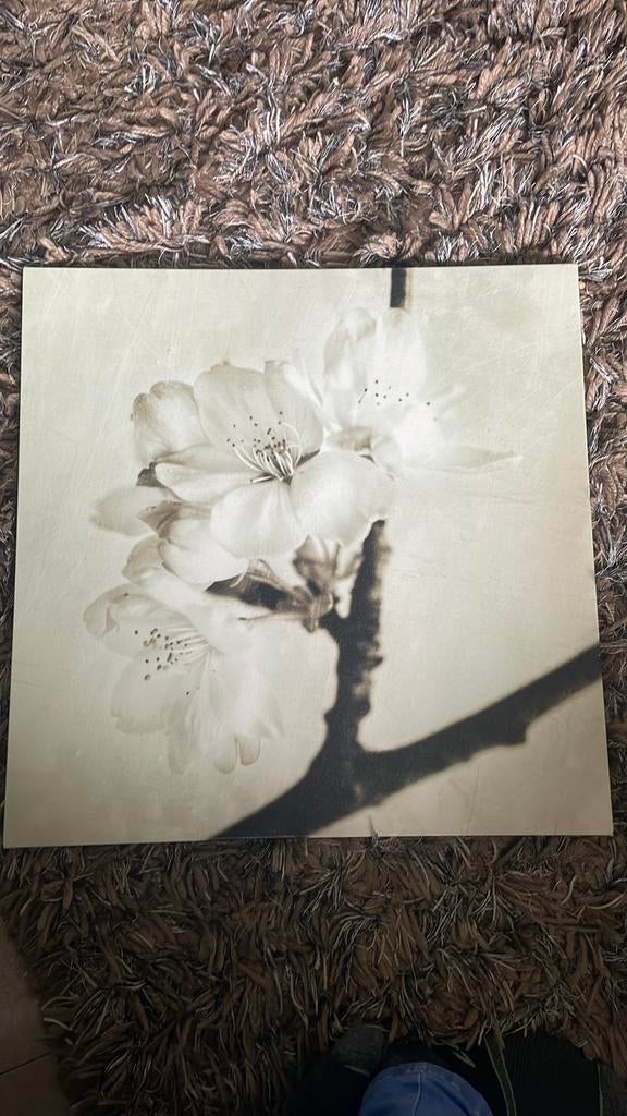 Canvas doek bloesem 1 voor 5 euro, 2 voor 7,50, Ophalen, Zo goed als nieuw, Schilderij, Minder dan 50 cm
