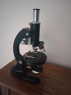 Euromex microscoop, Ophalen of Verzenden, Gebruikt, Minder dan 400x, Biologische microscoop