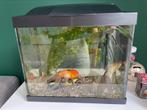 Aquarium 16 Liter, gratis, Ophalen, Gebruikt, Leeg aquarium