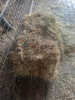 Hooi, Dieren en Toebehoren, Ophalen of Verzenden, Vee