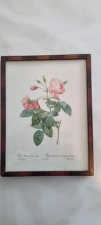 2 vintage schilderijtjes met afbeelding van rozen, Minder dan 50 cm, Print, Minder dan 50 cm, Gebruikt