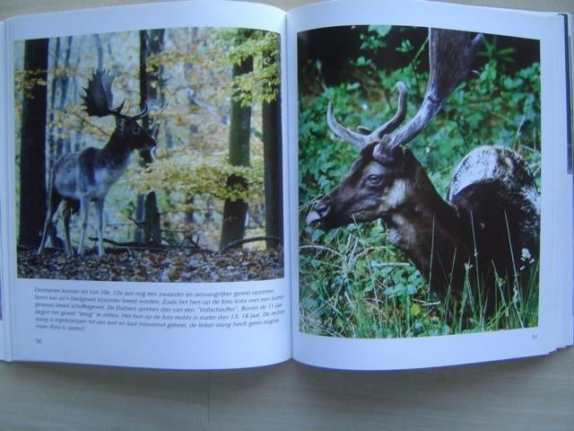 Damherten in Nederland  jacht jagen, Boeken, Ophalen of Verzenden, Zo goed als nieuw, Natuur algemeen