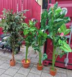 Kunstplanten, Tuin en Terras, Planten | Bomen, Ophalen, Volle zon, Overige soorten, 100 tot 250 cm