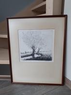 Ets - Wilgen, Antiek en Kunst, Kunst | Schilderijen | Klassiek, Ophalen of Verzenden