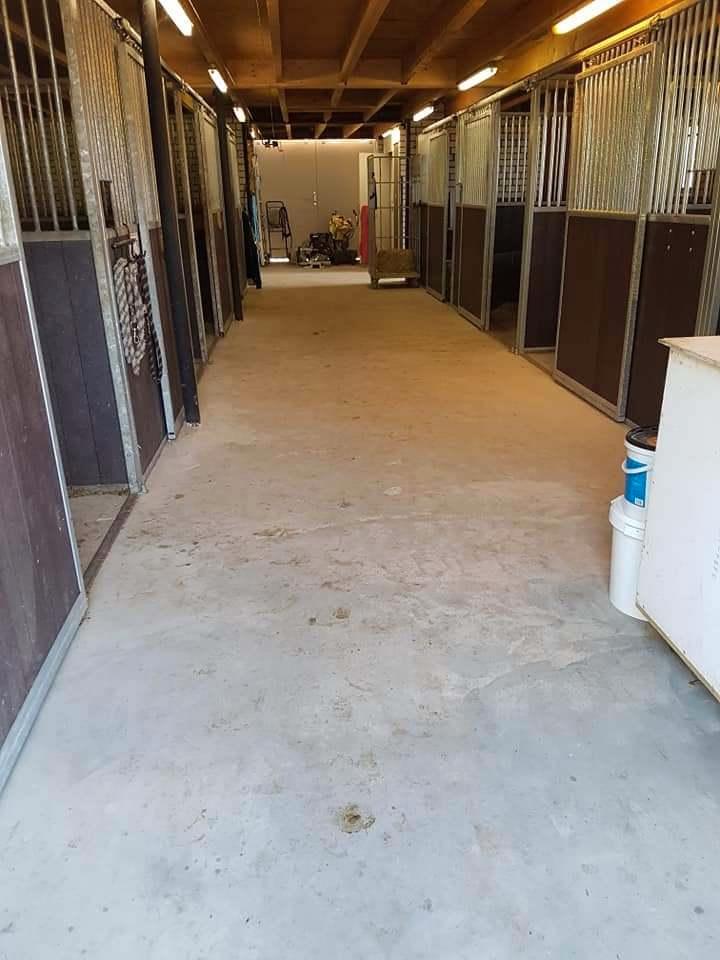 Stalling en weidegang, Dieren en Toebehoren, Stalling en Weidegang, Stalling, 1 paard of pony