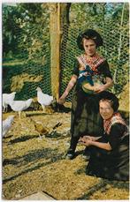 Staphorst Klederdracht Oude Gelopen Ansichtkaart ( B3206 ), Ophalen of Verzenden, 1940 tot 1960, Gelopen, Zeeland