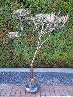 Droogbloemen, Huis en Inrichting, Ophalen