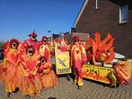 Mooie loopgroep voor 6 personen, Kleding | Dames, Carnavalskleding en Feestkleding, Ophalen of Verzenden, Zo goed als nieuw, Maat 46/48 (XL) of groter