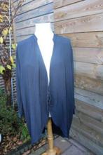 Vest blauw Antonelli by Pauw mt 44 AANBIEDING Vaste prijs, Blauw, Maat 42/44 (L), Ophalen of Verzenden, Antonelli