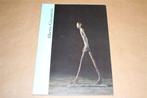 Alberto Giacometti 1901-1966 - Beelden, schilderijen, tekeni, Ophalen of Verzenden, Zo goed als nieuw, Schilder- en Tekenkunst