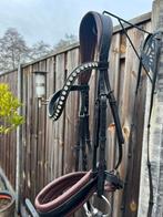 Hoofdstel Tess, Ophalen, Zo goed als nieuw, Dressuur