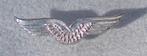 militaire zilverkleurige pin TG Luftwaffe, Bndeswehr., Verzamelen, Militaria | Algemeen, Ophalen of Verzenden, Luchtmacht, Duitsland