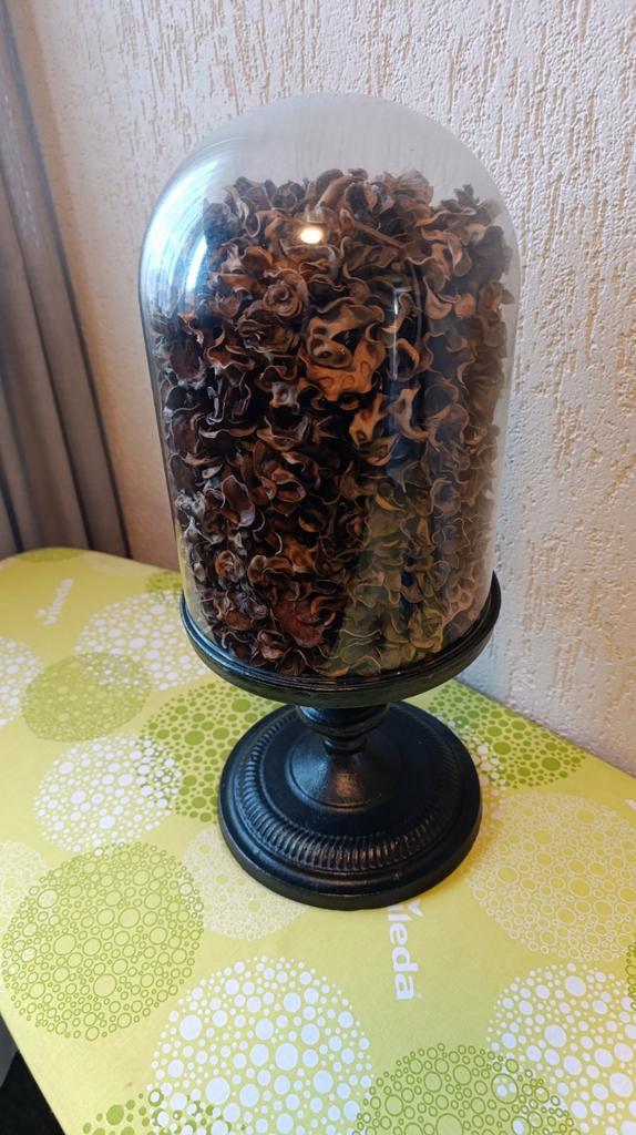 XXL Stolp met Zwarte Metalen Poot - 48cm, Antiek en Kunst, Antiek | Woonaccessoires, Ophalen