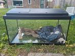 Keurig aquarium 60x30x30cm inclusief toebehoren, Ophalen, Zo goed als nieuw, Leeg aquarium