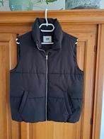 Zwarte bodywarmer, Kleding | Dames, Bodywarmers, Maat 38/40 (M), Zwart, Ophalen of Verzenden, Zo goed als nieuw
