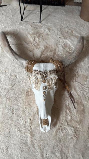 Prachtige grote moderne skull met steentjes /  schedel beschikbaar voor biedingen