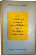 De economische toekomstmogelijkheden van Nederlands Nieuw-Gu, Ophalen of Verzenden, Zo goed als nieuw, Cannegieter, CA, Economie en Marketing