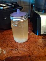 Water kefir, Ophalen of Verzenden