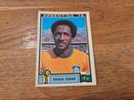 Panini WK 78, Verzamelen, Ophalen of Verzenden, Zo goed als nieuw, Buitenlandse clubs, Poster, Plaatje of Sticker
