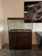 Aqualantis Aquarium –210 Liter– Incl. LED, CO₂, Eheim Pro4+, Dieren en Toebehoren, Vissen | Aquaria en Toebehoren, Ophalen, Zo goed als nieuw