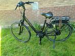Pegasus elektrische damesfiets met bosch  middenmotor, Zo goed als nieuw, 47 tot 51 cm, 50 km per accu of meer, Ophalen