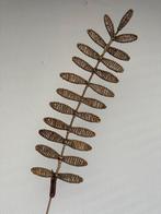 Riviera Maison rattan grote leaf / tak bamboe bladeren 93 cm, Huis en Inrichting, Woonaccessoires | Overige, Ophalen of Verzenden