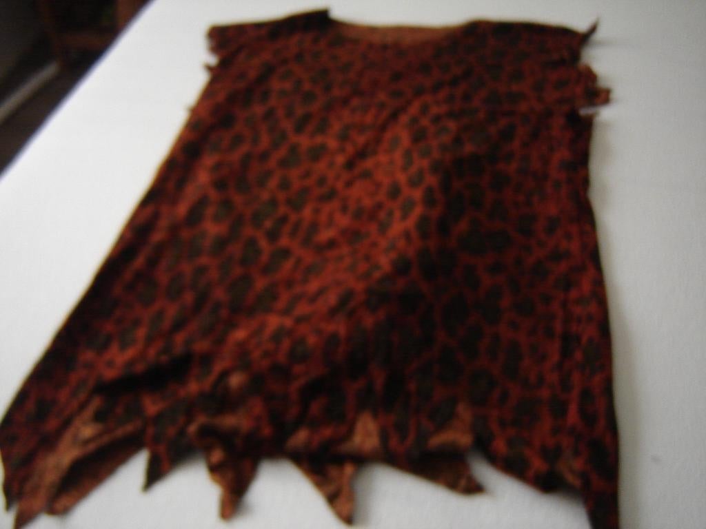 kattenjurkje, Maat 38/40 (M), Carnaval, Ophalen of Verzenden, Zelf maak