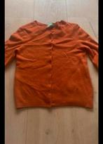 Benetton vest wol xs nieuwstaat, Kleding | Dames, Truien en Vesten, Benetton, Oranje, Ophalen of Verzenden, Zo goed als nieuw
