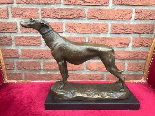 fraai bronzen beeld, trotse hazewindhond/ greyhound, Antiek en Kunst, Kunst | Beelden en Houtsnijwerken, Ophalen of Verzenden