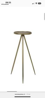 Planten tafel goud, Tuin en Terras, Planten | Tuinplanten, Ophalen, Bloeit niet, Overige soorten, Volle zon