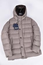 Nieuwe Herno winterjas maat 52, Herno, Nieuw, Ophalen of Verzenden, Herno